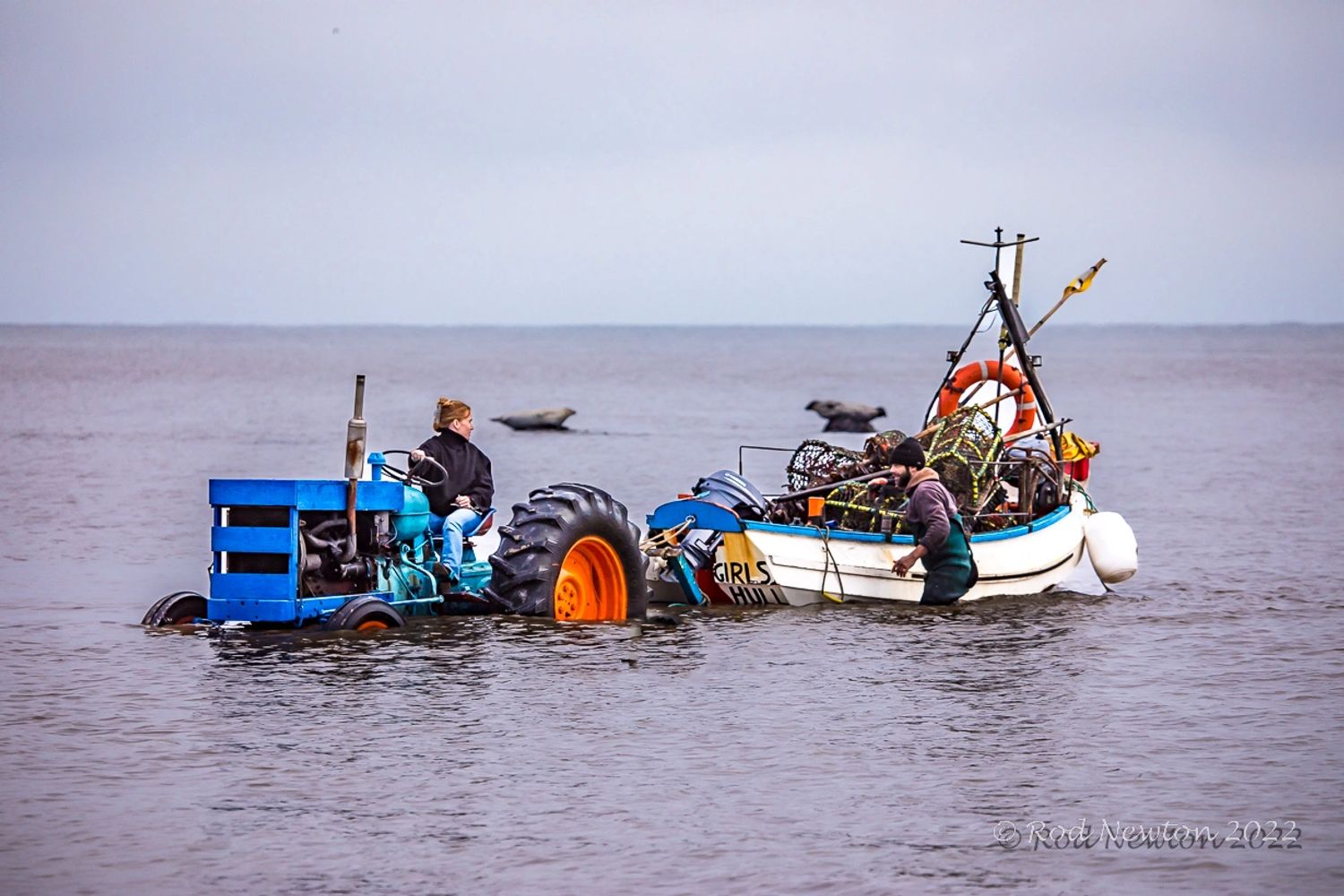 fresh-lobster-and-seafood-near-me-east-coast-shellfish